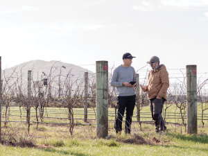 Joris Besamusca with Rowan Hoskins, viticulturist at Escarpment Martinborough. Photo Credit: Dianna Clapperton-Adams