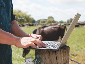 DairyBase and MINDA Link Up to Cut Farmer Paperwork