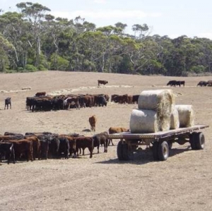 Winter the worry for South Island