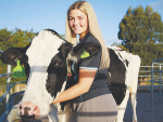 Chloe Thomson loves cattle showing.
