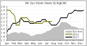 STORE MARKET REPORT | R2yr steer prices soar at saleyards