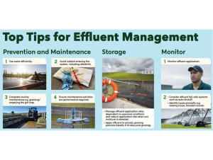 DairyNZ’s top tips for effluent management.