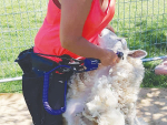 Handy cordless shearing keeps on top of dirty jobs