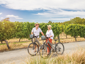 Wairau River Wines