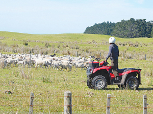 Southland Farmers Face Wet Weather Toll, Support Available