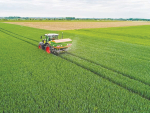 Photo ID will be needed to buy ammonium nitrate (AN) fertilisers in the UK from October.