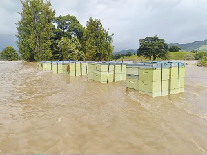 Flooded hives at Hillside Honey at Maungaturoto during Cyclone Gabrielle last year.