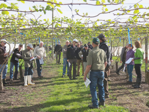 Kiwifruit Vine Health has trumpeted its collaborative approach with Government and industry as a winning formula.