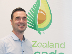 Avocado NZ chief executive, Brad Siebert, says better weather and new export strategy could see a muchimproved season for growers.