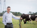 Paul Bird, DairyNZ urges farmers to use the strong milk price to reduce debt and save for a rainy day.