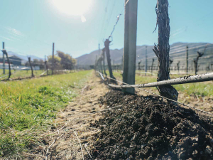 Returning organic matter and its nutrients to vineyard soils.