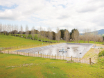 Best practices for optimal pasture application