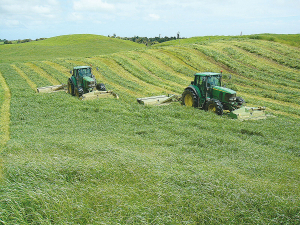 Goodin Ag favour Krone mowers as they handle the harsh local conditions, where rocks and undulations are common.