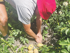 Meeting face-to-face with vegetable, fruit growers