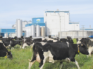 Solid third quarter result for Fonterra