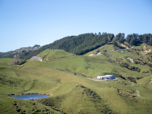 Pāmu launches equity partnership at Mahiwi Farm