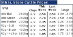 South Island store cattle market in limbo