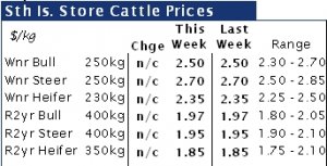 South Island store cattle market in limbo