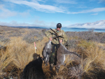 Wallabies killed by poison in a previous year’s control effort in the Mackenzie Basin. 