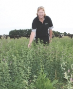 Mixed-pasture trials show promise