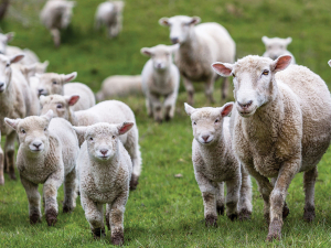 FE spores are now appearing beyond traditional hotspots, according to a sheep poo study.