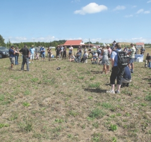 Cross-channel small dairies have crucial role