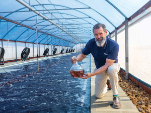 CH4 Global CEO Steve Meller at one of the 50m ponds of the company’s newly-commissioned Louth Bay site in South Australia.