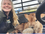 Young Waikato farmer urges KiwiSaver rule change to help first-time farm buyers