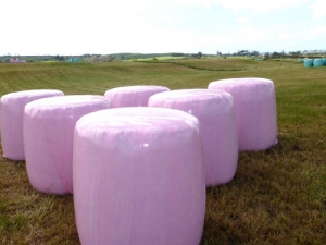 Pink and blue bales highlight cancers