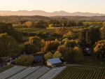 Moutere Magic: Evolving legacy at Neudorf