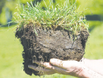 Cost of getting soil fertility wrong