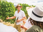 Alcohol advertising and promotion - know your responsibilities