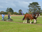 1.	Sean Leslie and Casey Tilson won the Rural News Horse Plough award at the Power Farming NZ Ploughing Championships at Horotiu on April 13-14.