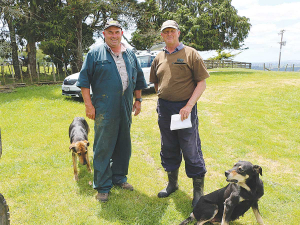 Dairy farmer Darryl Jensen and sheep and beef farmer Rick Powdrell have their biosecurity arrangements under control via the NAIT system.