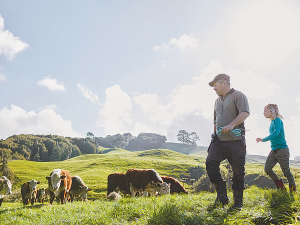 The latest BNZ Rural Wrap reports that many primary product prices are above their five-year average. Photo Credit: Paul Sutherland Photography