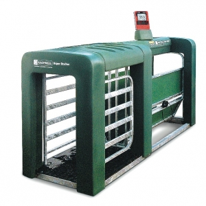 Flexible sheep weigher/drafter links with any yard