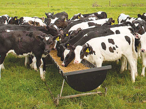 There is direct link between feed quality and food produced by animals.