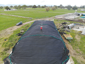 GeoSmart Eco Silage covers reduced the wastage from 10% to 3% by just preventing holes that let water in.