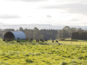 The three-year pilot study looked at how Integrated Farm Plans help farmers work with consultants to develop practical solutions for managing farms in environmentally and culturally sustainable ways.