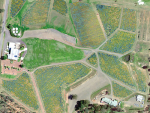 SpecTerra’s spectral analysis shows variations along individual rows of a New Zealand vineyard. SUPPLIED/SPECTERRA.