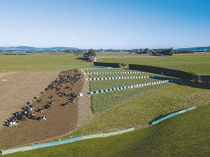 CODC Rejects Plan to Spread Sludge on Lauder Farmland