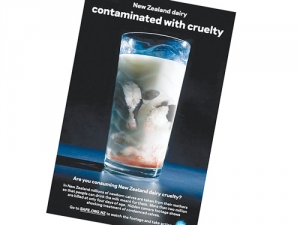 SAFE has criticised the dairy industry via its highly publicised campaigns targeting mistreatment of bobby calves.