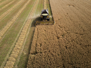 Editorial: Arable Woes