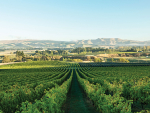 Changing Climate: A taste of the future