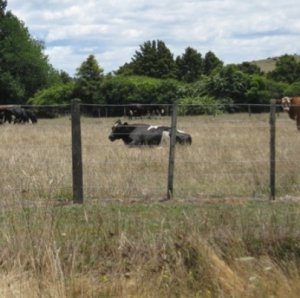 Relief for dry Southland