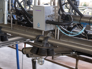 The sensors capture data from each cow at every milking and automatically transfer it to SenseHub software.