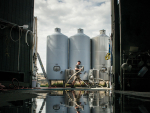 NZ wine grapples with oversupply despite export gains