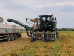 MTS Sandei unveils advanced tomato harvester