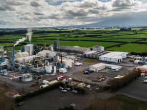 Urea plant faces forced closure over gas supply