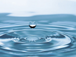 NZPP is calling for an independent assessment of New Zealand’s water infrastructure.